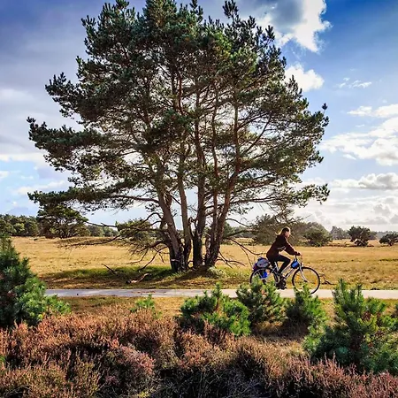 Chalé Op De Veluwe # Linde *