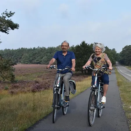 Op De Veluwe # Linde *