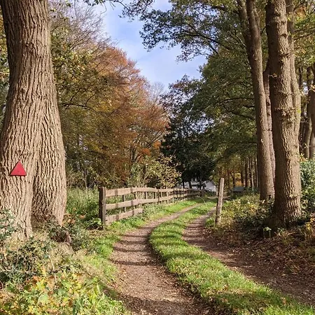 Op De Veluwe # Linde Пюттен