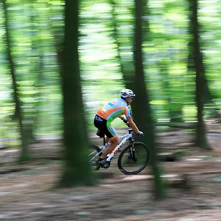 Op De Veluwe # Linde Chalé *