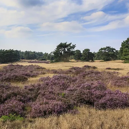 Op De Veluwe # Linde Chalé
