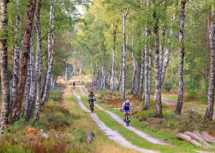 Op De Veluwe # Linde * Putten