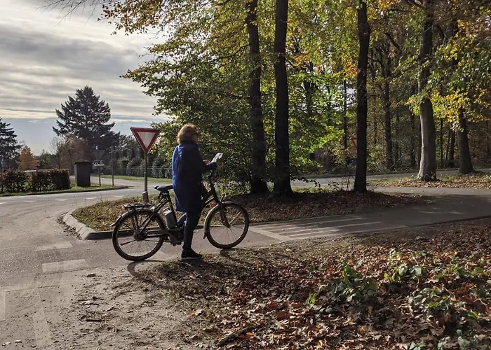 Dağ evi Op De Veluwe # Linde