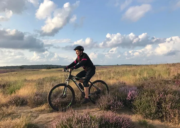 Dağ evi Op De Veluwe # Linde