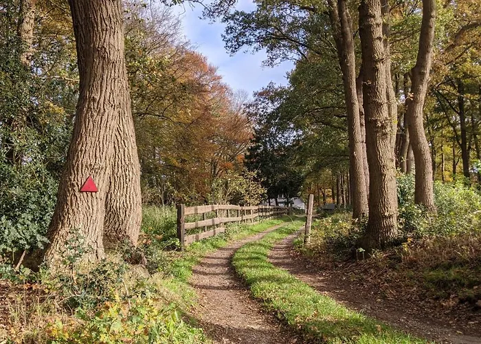 Op De Veluwe # Linde Putten