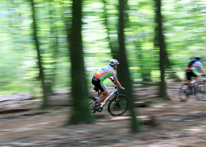 Op De Veluwe # Linde シャレー *