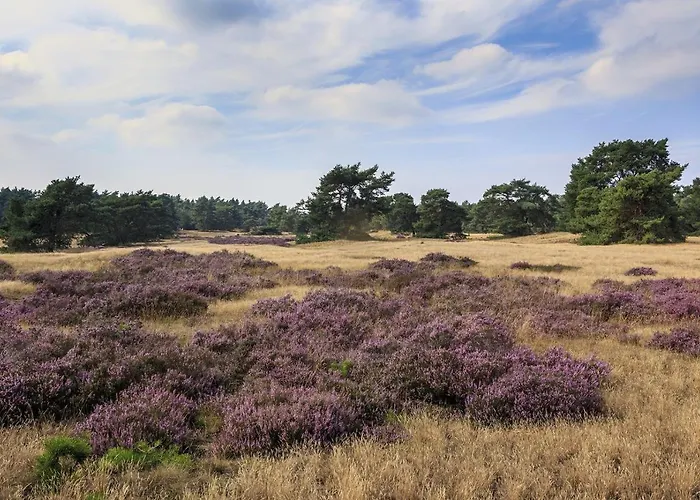 Op De Veluwe # Linde シャレー