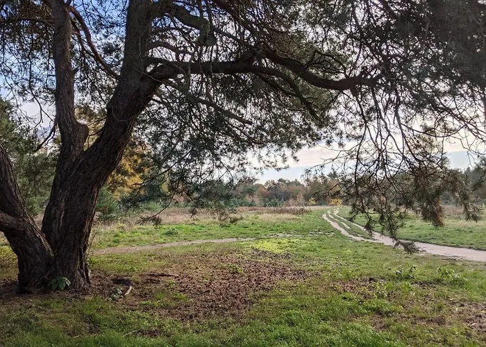 Op De Veluwe # Linde * Putten