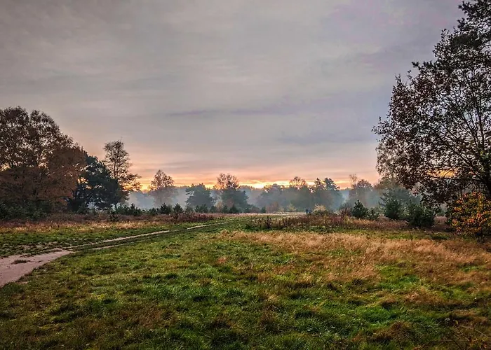 Op De Veluwe # Linde