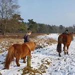 Op De Veluwe # Linde *