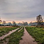Op De Veluwe # Linde *