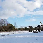 木屋 Op De Veluwe # Linde