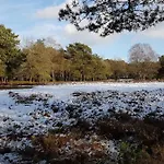 Op De Veluwe # Linde *