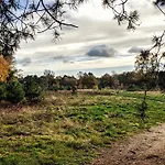 木屋 Op De Veluwe # Linde