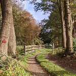 Op De Veluwe # Linde 皮滕