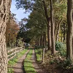 木屋 Op De Veluwe # Linde 皮滕
