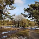 Op De Veluwe # Linde 木屋 皮滕