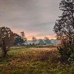 Op De Veluwe # Linde 皮滕