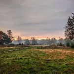 Op De Veluwe # Linde