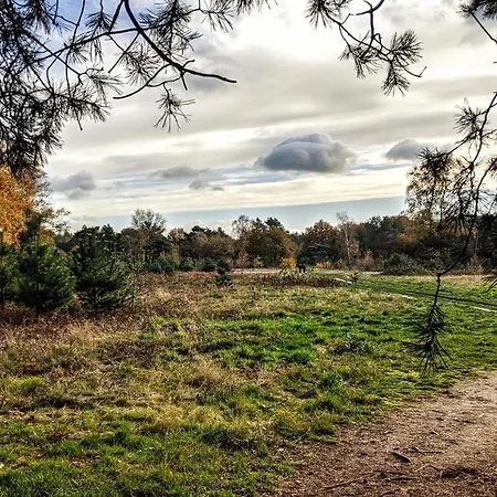 シャレー Op De Veluwe # Linde