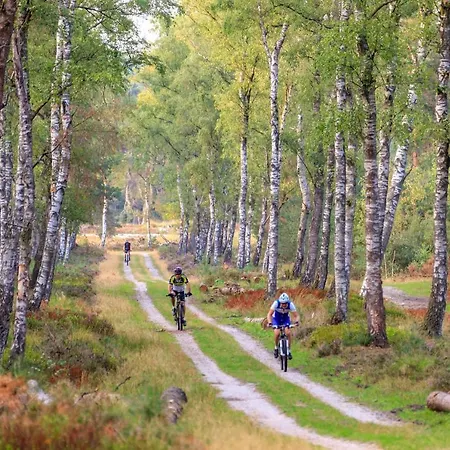 Op De Veluwe # Linde * 푸텐