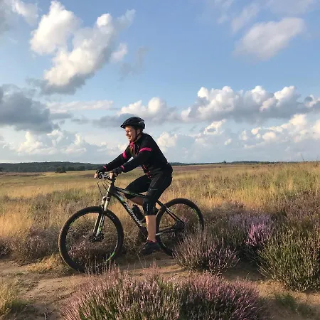 샬레 Op De Veluwe # Linde