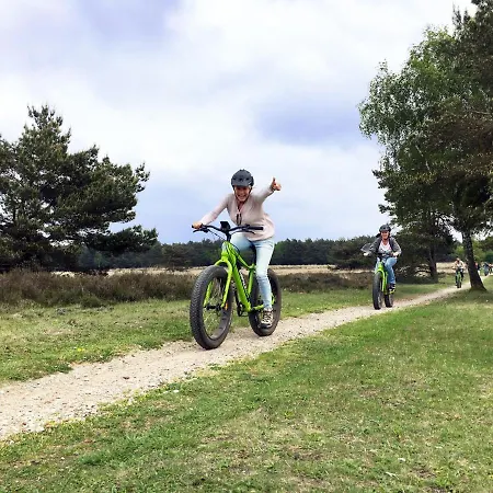 Op De Veluwe # Linde *