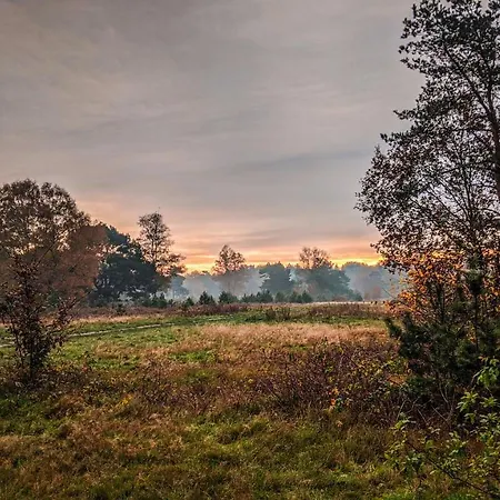 Op De Veluwe # Linde プッテン