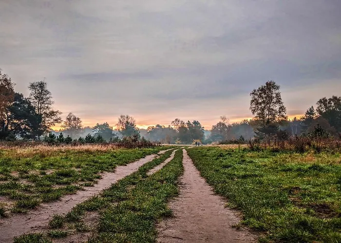 Op De Veluwe # Linde *