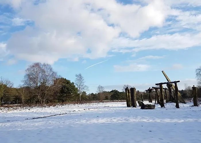 샬레 Op De Veluwe # Linde