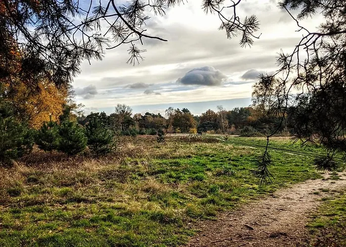 샬레 Op De Veluwe # Linde