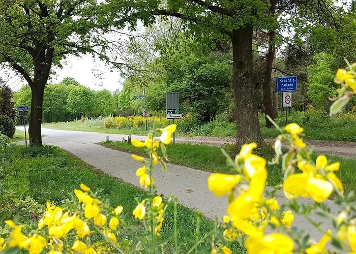 샬레 Op De Veluwe # Linde *