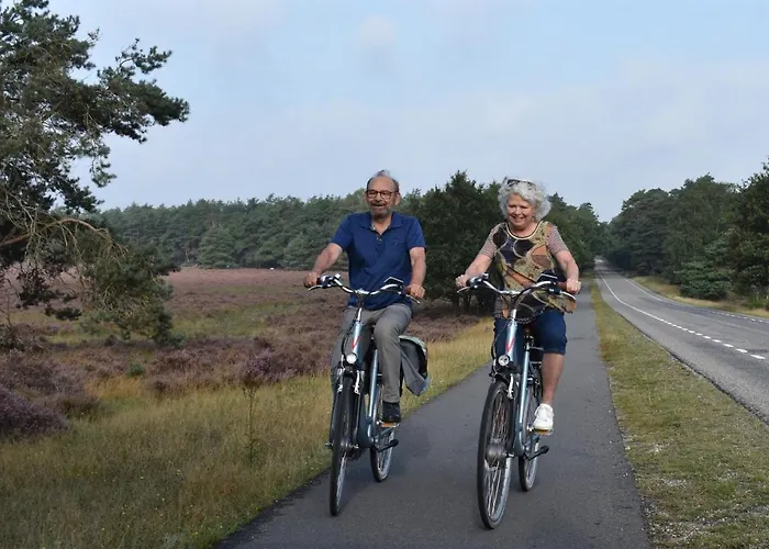 Op De Veluwe # Linde *