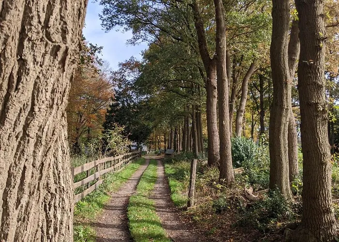 샬레 Op De Veluwe # Linde 푸텐