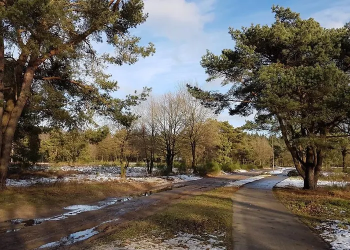 Op De Veluwe # Linde 샬레 푸텐