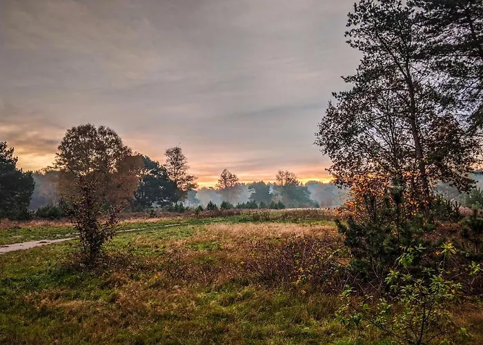 Op De Veluwe # Linde 푸텐